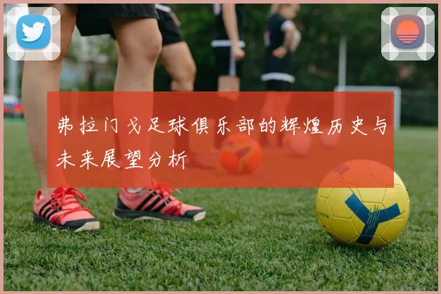 弗拉门戈足球俱乐部的辉煌历史与未来展望分析