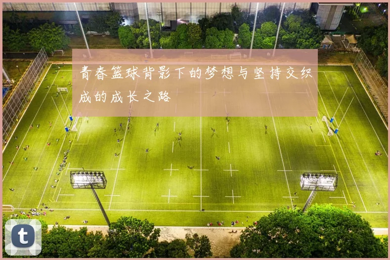 青春篮球背影下的梦想与坚持交织成的成长之路