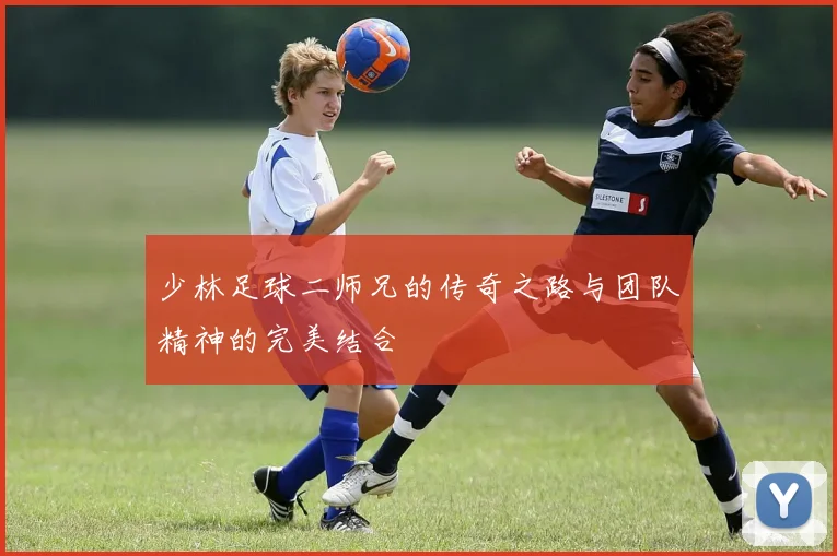 少林足球二师兄的传奇之路与团队精神的完美结合