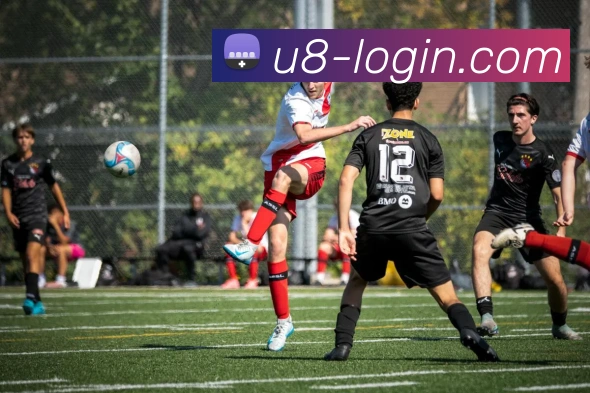 多媒体互动体验